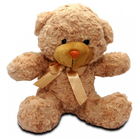 Hugs and Kisses Teddy Bear