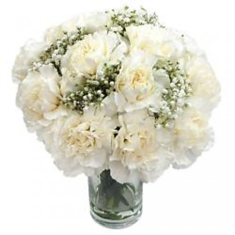 Simple White Carnation