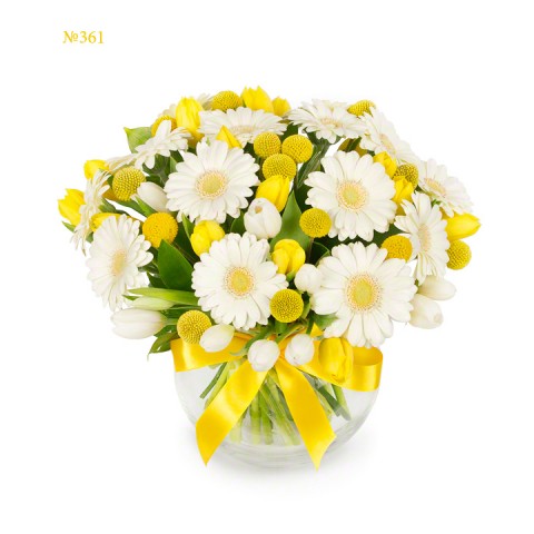 Calming White Gerberas