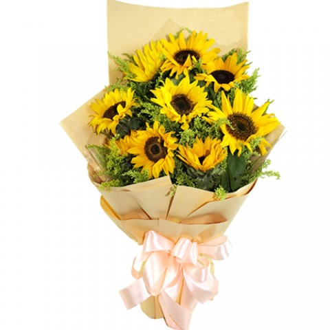 Rays of Sunshine