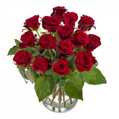 Red roses of Perfection             