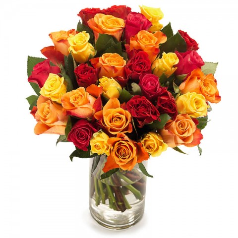 Fireball Roses 