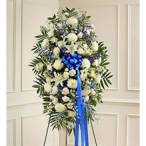 White & Blue Sympathy