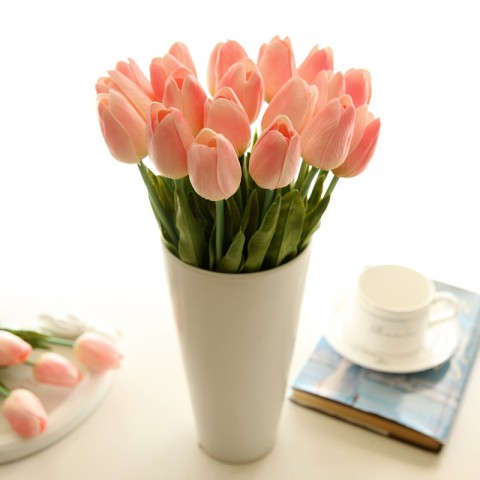 Tulips in peach